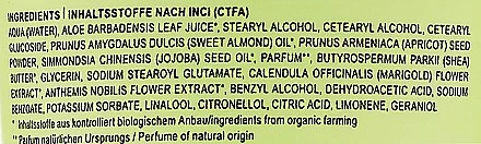 Gommage à L'Aloe Vera Pour Corps 3 Gommage à L'Aloe Vera Pour Corps – Image 3